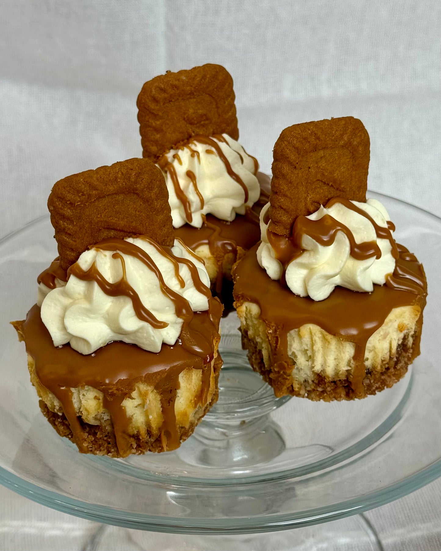 Mini Biscoff Lotus Cheesecakes