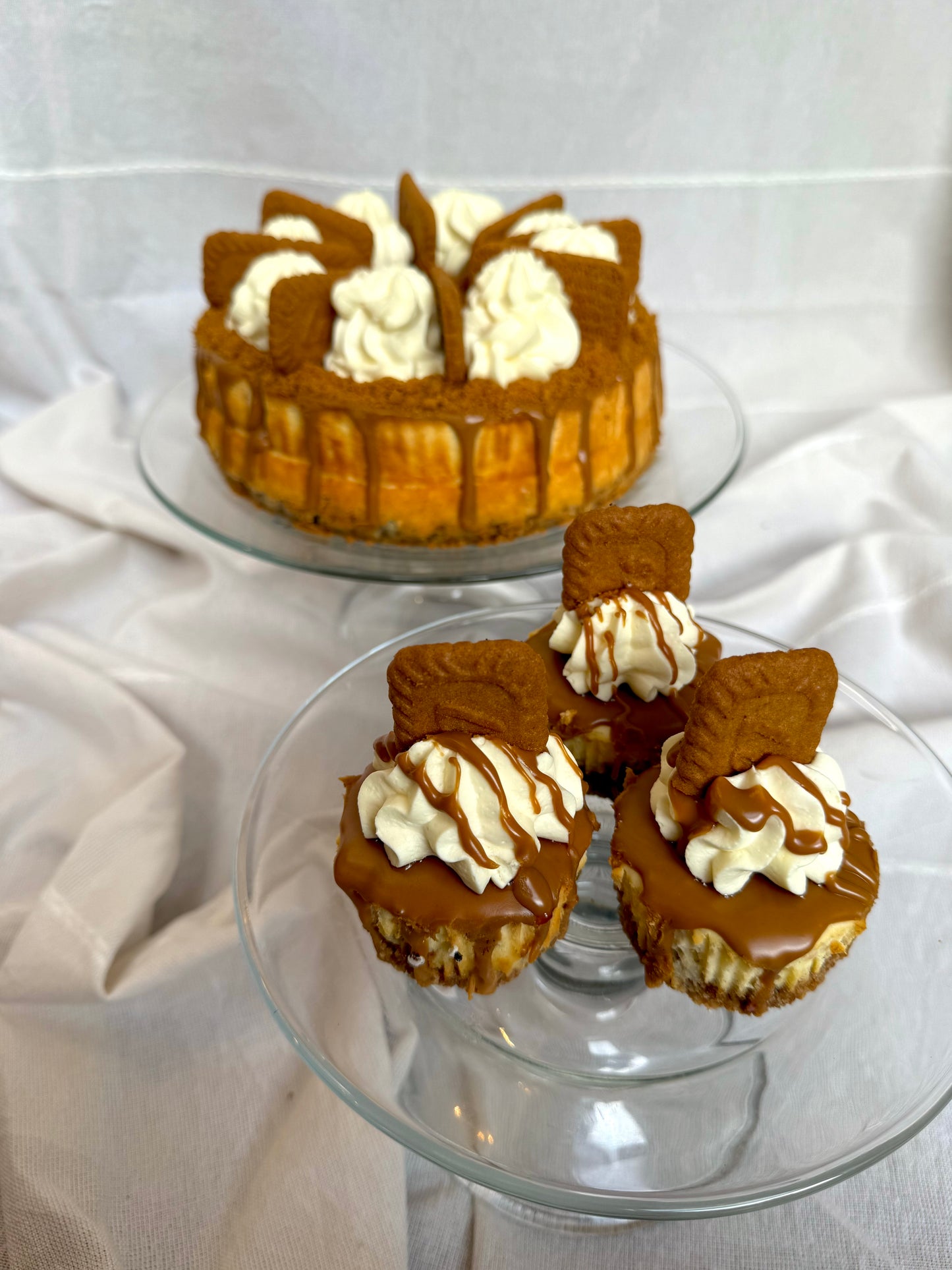 Biscoff Lotus Cheesecake